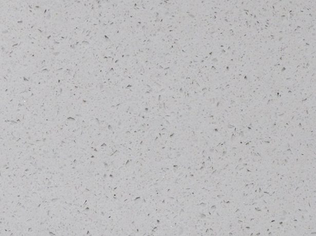 DS-6009